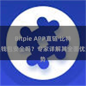 Bitpie APP直链 比特派钱包安全吗？专家详解其全面优势