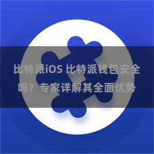 比特派iOS 比特派钱包安全吗？专家详解其全面优势