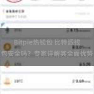 Bitpie热钱包 比特派钱包安全吗？专家详解其全面优势