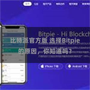 比特派官方版 选择Bitpie的原因，你知道吗？