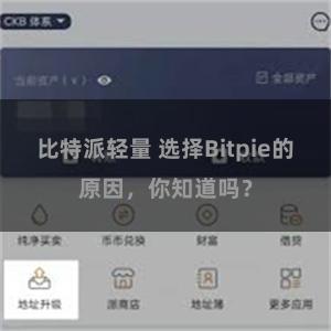 比特派轻量 选择Bitpie的原因，你知道吗？