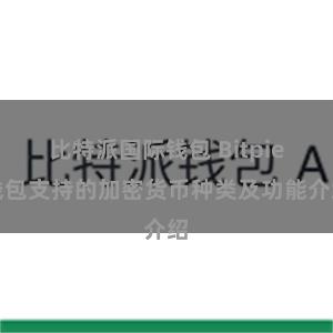 比特派国际钱包 Bitpie钱包支持的加密货币种类及功能介绍