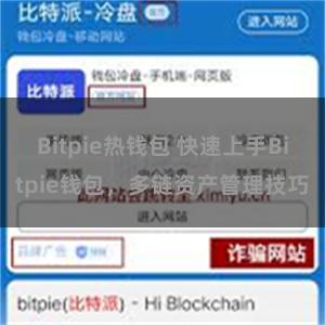 Bitpie热钱包 快速上手Bitpie钱包，多链资产管理技巧