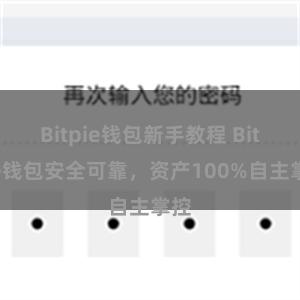 Bitpie钱包新手教程 Bitpie钱包安全可靠，资产100%自主掌控