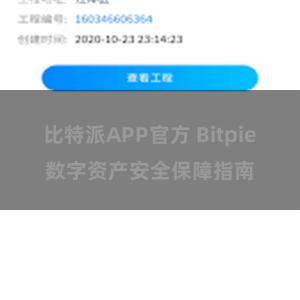 比特派APP官方 Bitpie数字资产安全保障指南