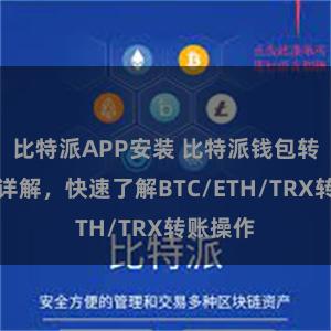 比特派APP安装 比特派钱包转账教程详解，快速了解BTC/ETH/TRX转账操作