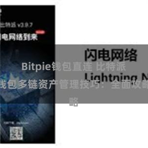 Bitpie钱包直连 比特派钱包多链资产管理技巧：全面攻略