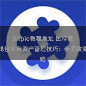 Bitpie教程地址 比特派钱包多链资产管理技巧：全面攻略