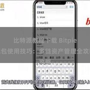 比特派教程下载 Bitpie钱包使用技巧：多链资产管理全攻略