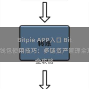 Bitpie APP入口 Bitpie钱包使用技巧：多链资产管理全攻略