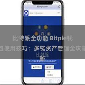 比特派全功能 Bitpie钱包使用技巧：多链资产管理全攻略