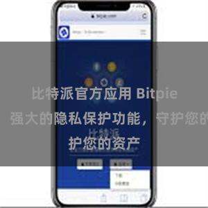 比特派官方应用 Bitpie钱包：强大的隐私保护功能，守护您的资产