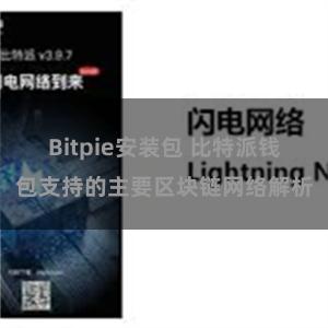 Bitpie安装包 比特派钱包支持的主要区块链网络解析