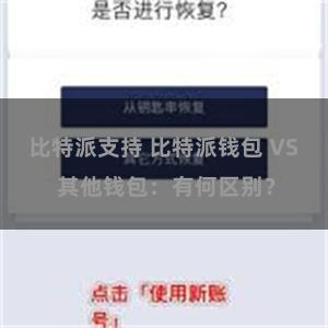 比特派支持 比特派钱包 VS 其他钱包：有何区别？