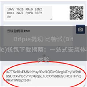 Bitpie提现 比特派(Bitpie)钱包下载指南：一站式安装体验