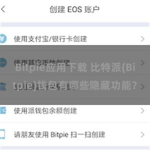 Bitpie应用下载 比特派(Bitpie)钱包有哪些隐藏功能？