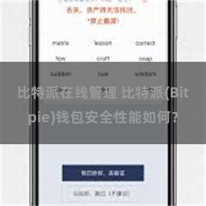 比特派在线管理 比特派(Bitpie)钱包安全性能如何？