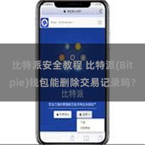 比特派安全教程 比特派(Bitpie)钱包能删除交易记录吗？