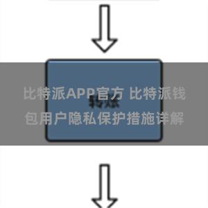 比特派APP官方 比特派钱包用户隐私保护措施详解