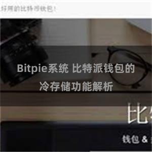 Bitpie系统 比特派钱包的冷存储功能解析