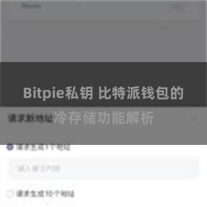 Bitpie私钥 比特派钱包的冷存储功能解析