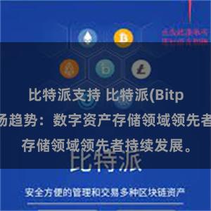 比特派支持 比特派(Bitpie)钱包市场趋势：数字资产存储领域领先者持续发展。