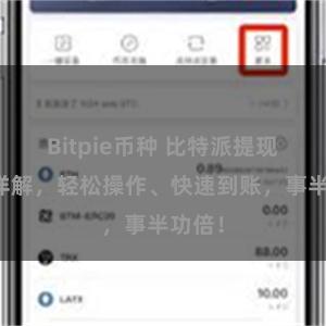 Bitpie币种 比特派提现教程详解，轻松操作、快速到账，事半功倍！
