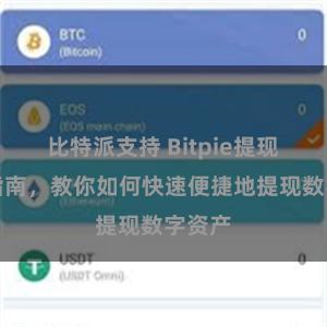 比特派支持 Bitpie提现操作指南，教你如何快速便捷地提现数字资产
