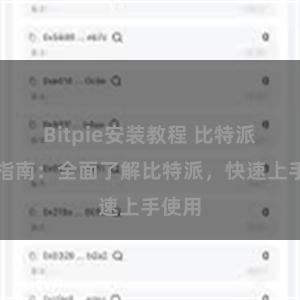 Bitpie安装教程 比特派用户指南：全面了解比特派，快速上手使用