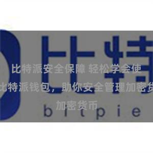 比特派安全保障 轻松学会使用比特派钱包，助你安全管理加密货币