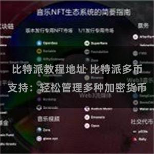 比特派教程地址 比特派多币支持：轻松管理多种加密货币