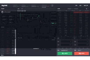 比特派多链安全钱包  比特派钱包还提供了一系列的安全功能
